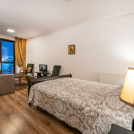 Ferienwohnung Ripsime Colina Marei Sinaia Exterior foto
