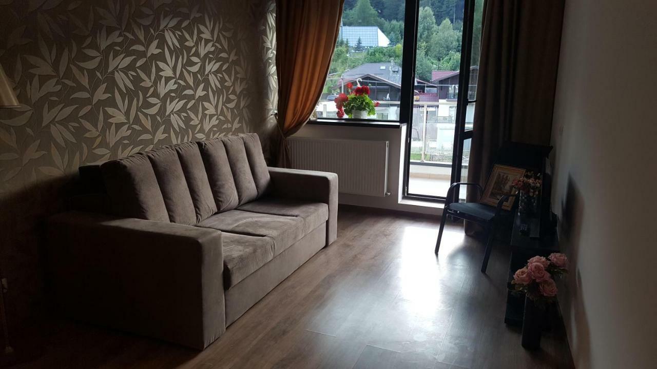 Ferienwohnung Ripsime Colina Marei Sinaia Exterior foto
