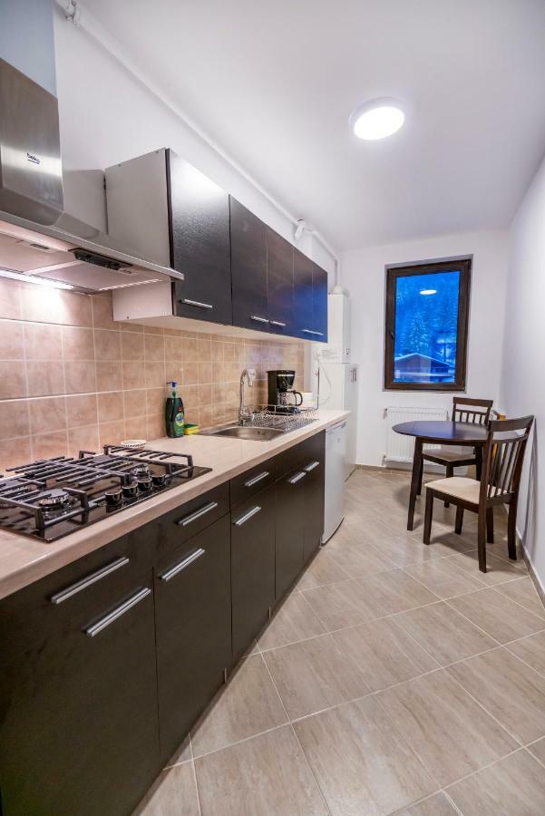 Ferienwohnung Ripsime Colina Marei Sinaia Exterior foto