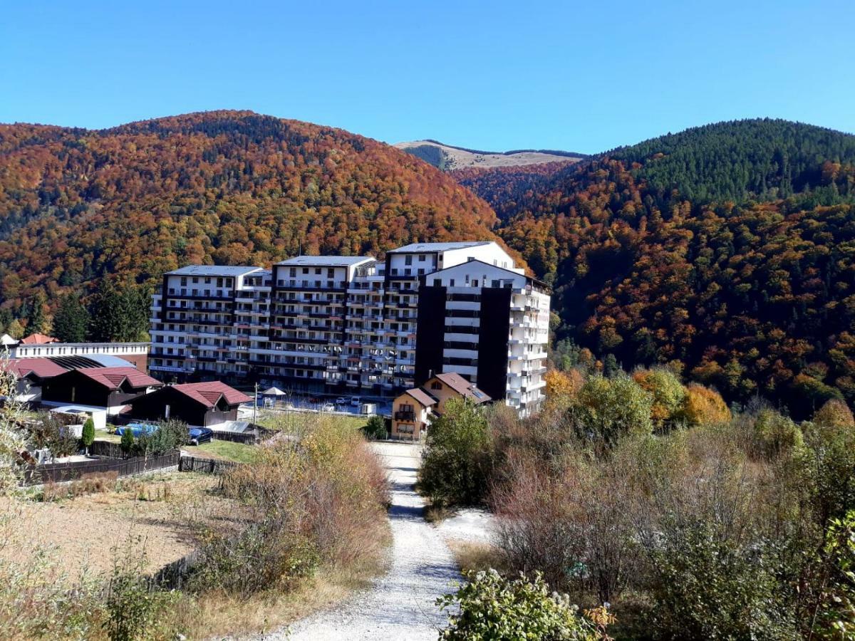 Ferienwohnung Ripsime Colina Marei Sinaia Exterior foto